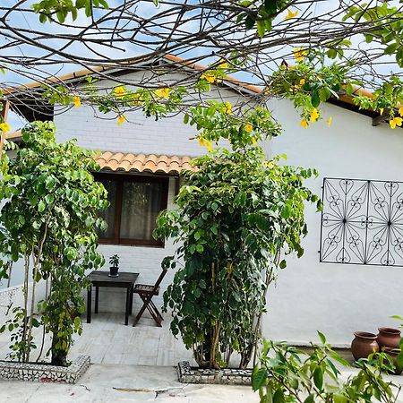 Apartmán Casa Tua Pipa - Chále 1 Praia de Pipa Exteriér fotografie